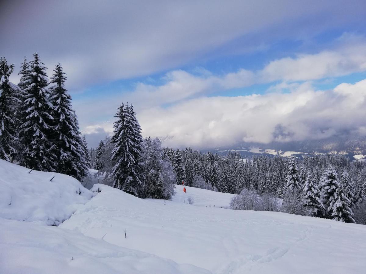 Ferienwohnung Mit Blick Auf Die Buchensteinwand 霍赫菲尔岑 外观 照片