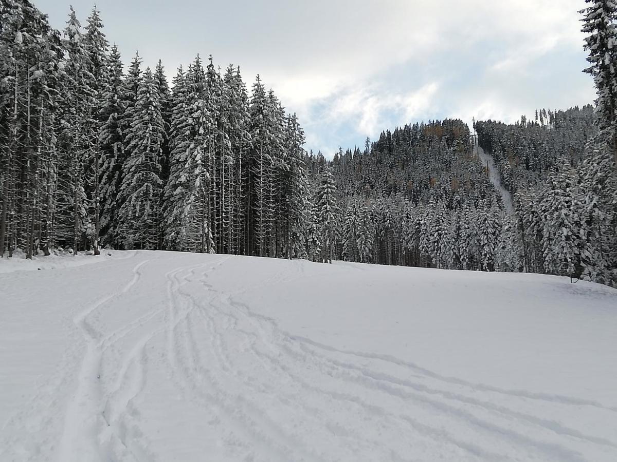 Ferienwohnung Mit Blick Auf Die Buchensteinwand 霍赫菲尔岑 外观 照片